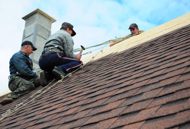 Best Emergency Roof Repair  in Ball Pond, CT